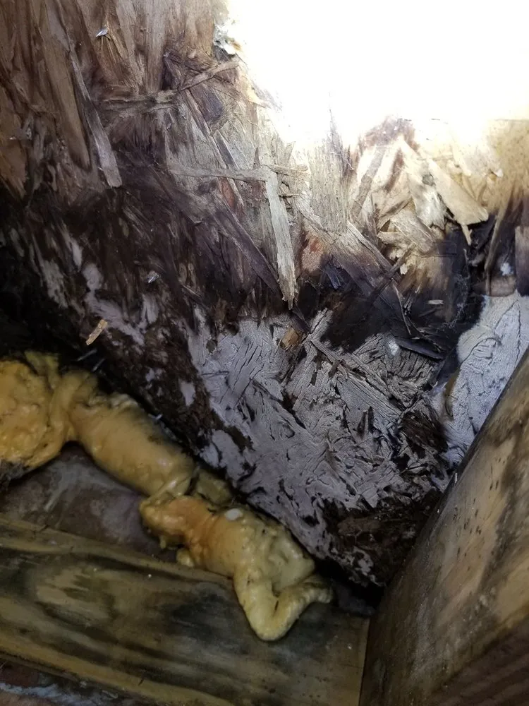 Slide of Tidewater In the Valley