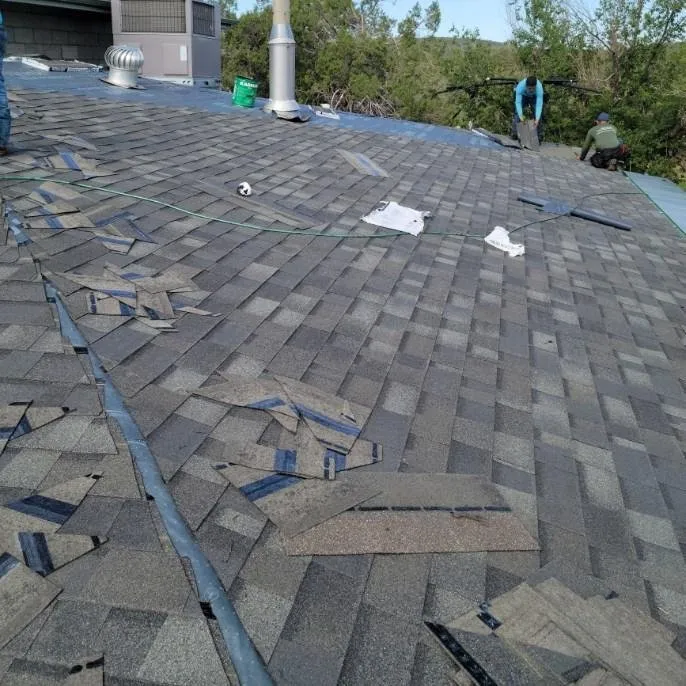 Slide of Tiger and Services