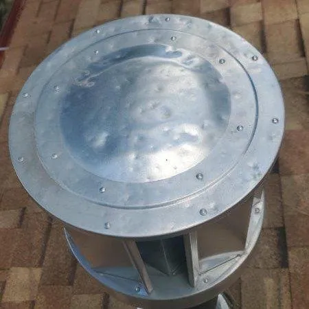 Slide of Tiger and Services