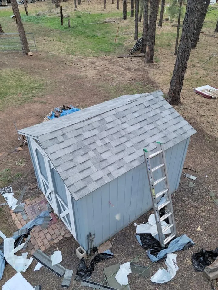 Slide of Tiger and Services