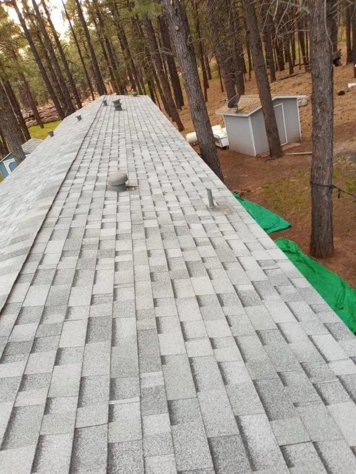 Slide of Tiger and Services