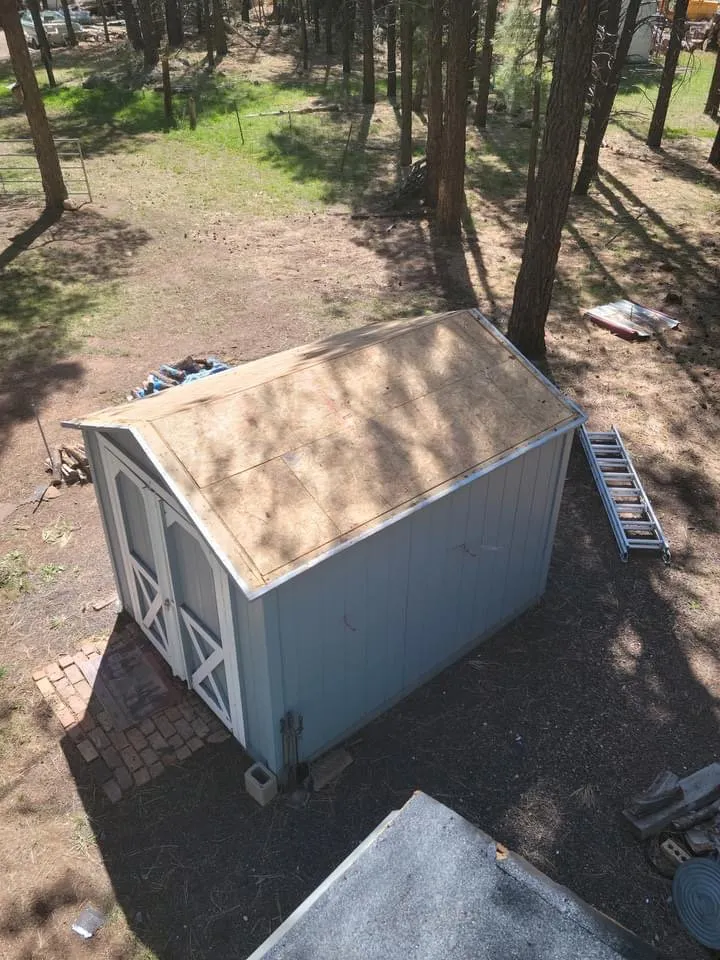 Slide of Tiger and Services