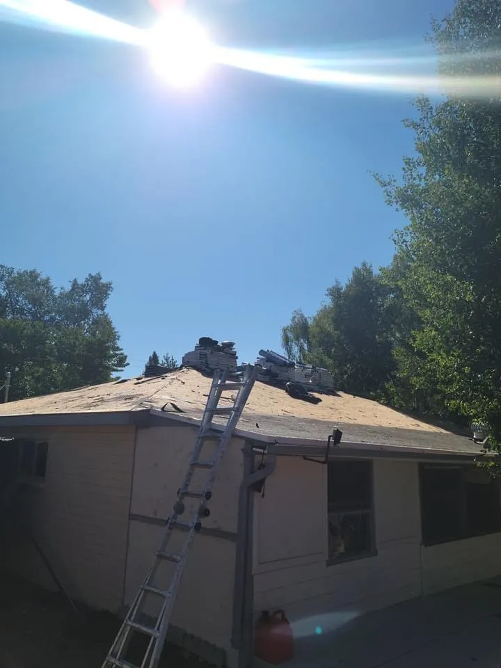 Slide of Tiger and Services