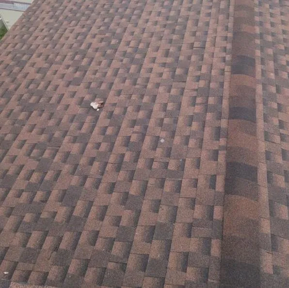 Slide of Tiger and Services