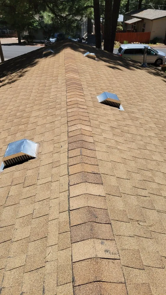 Slide of Tiger and Services