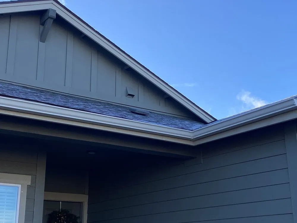 Slide of Tiger and Services