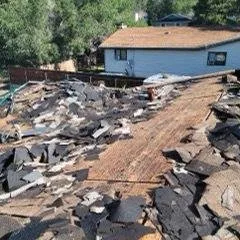 Slide of Tiger and Services