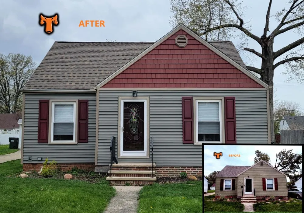 Slide of Tiger Exteriors