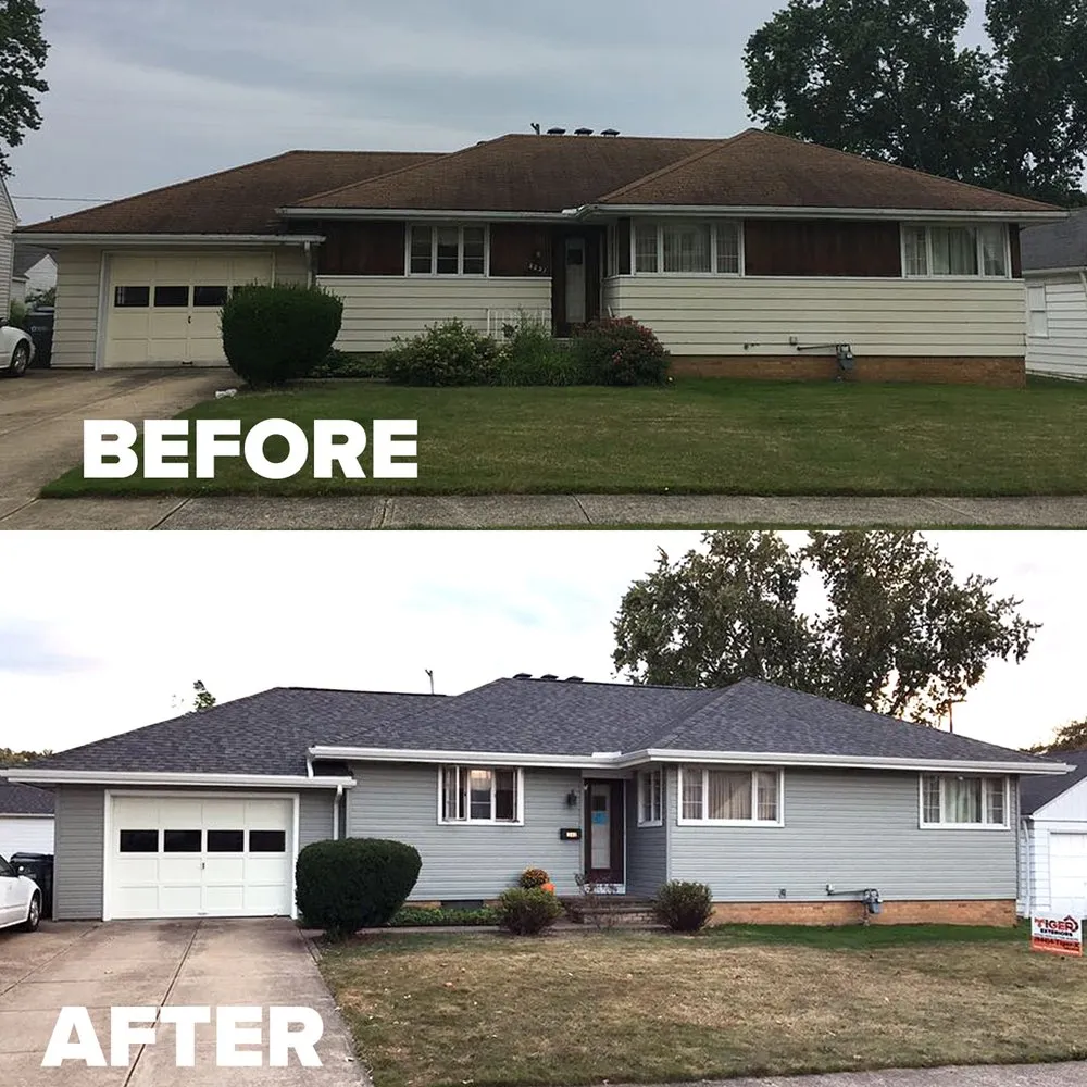 Slide of Tiger Exteriors