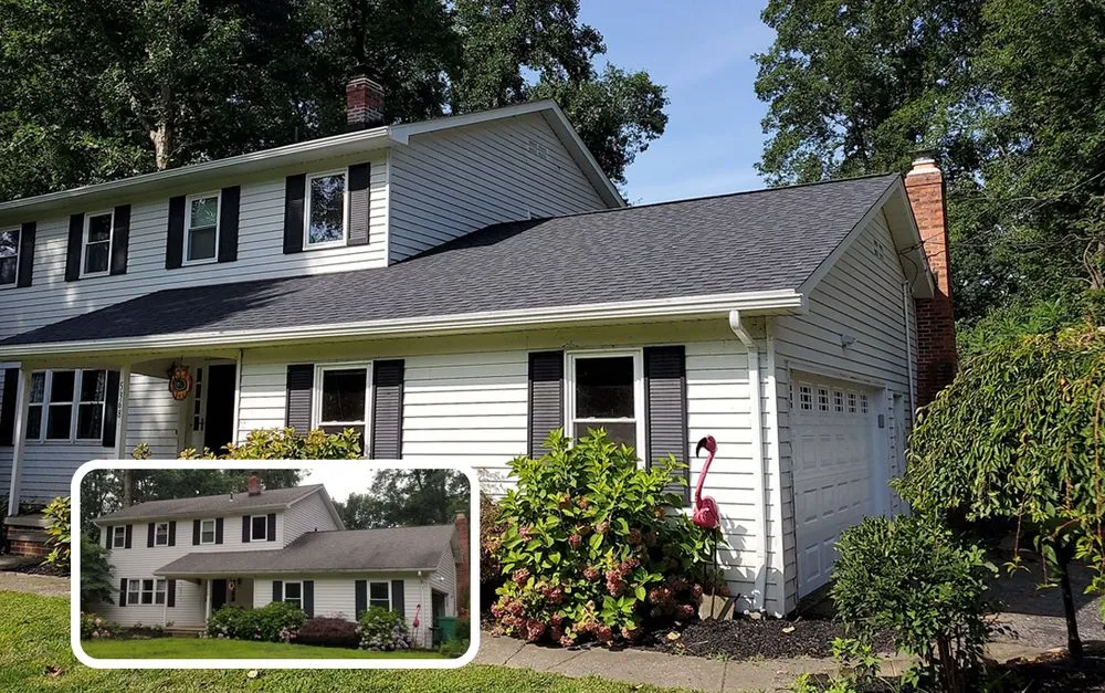 Slide of Tiger Exteriors