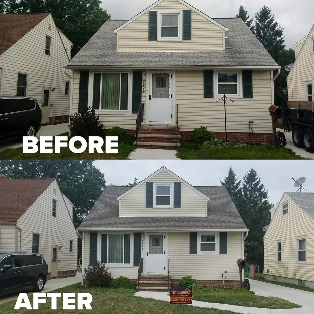 Slide of Tiger Exteriors