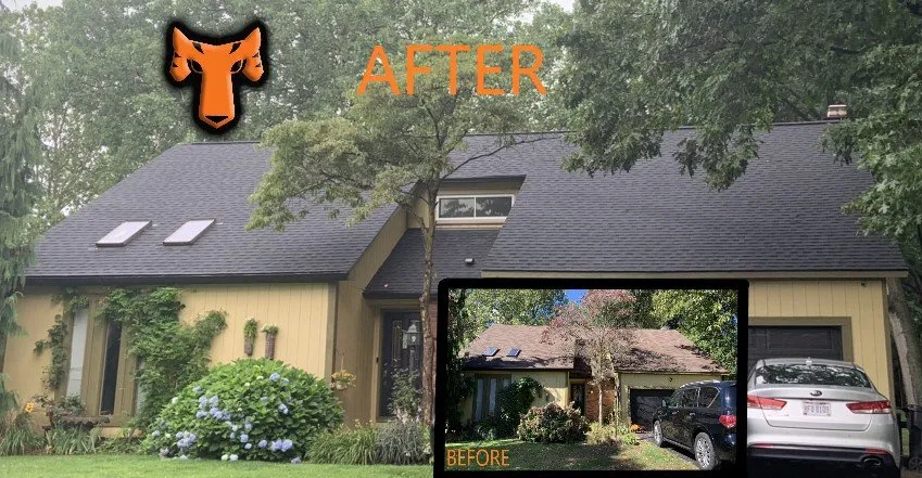 Slide of Tiger Exteriors