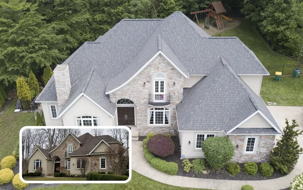 Slide of Tiger Exteriors