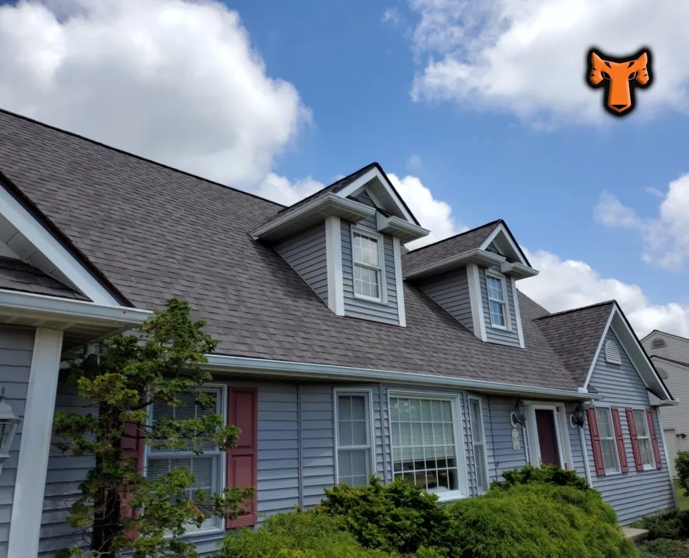 Slide of Tiger Exteriors