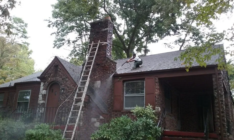 Slide of Tiger Painting