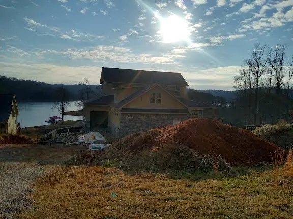 Slide of Tiger Painting