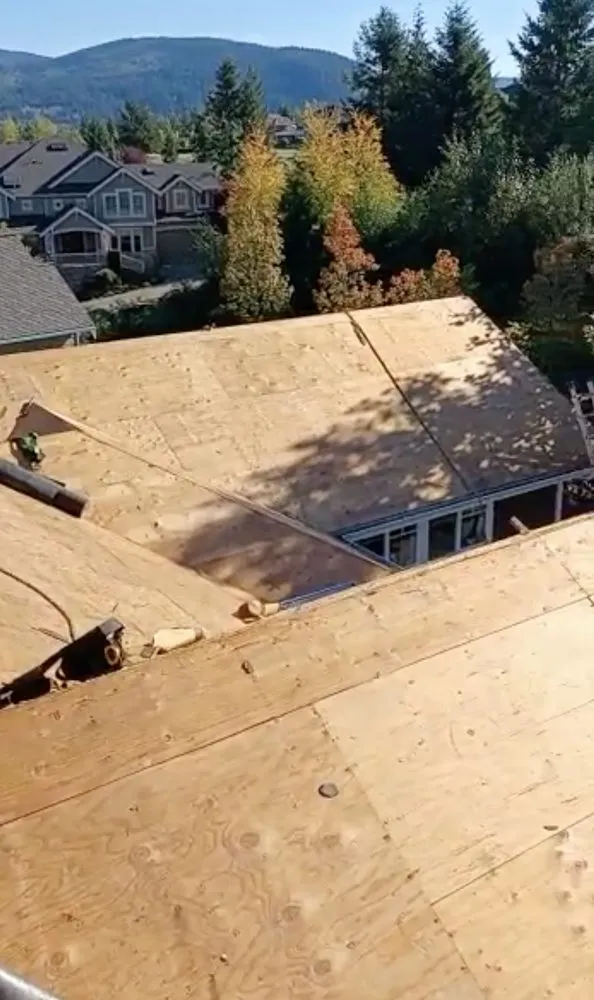 Slide of Tiger Roofing