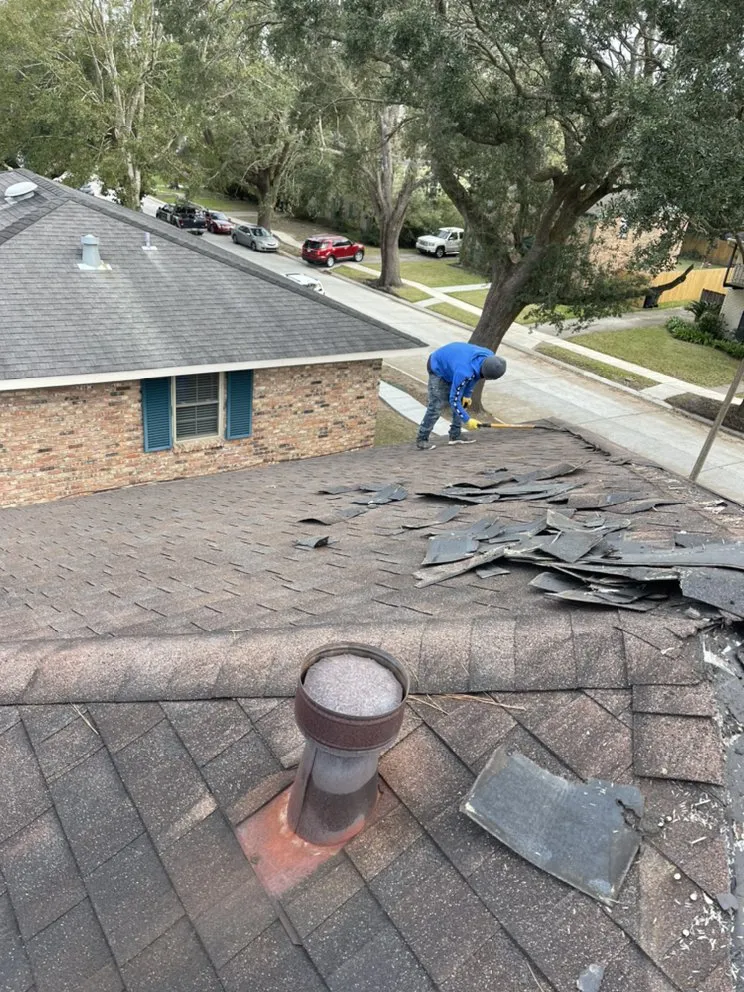 Slide of Tigers Construction
