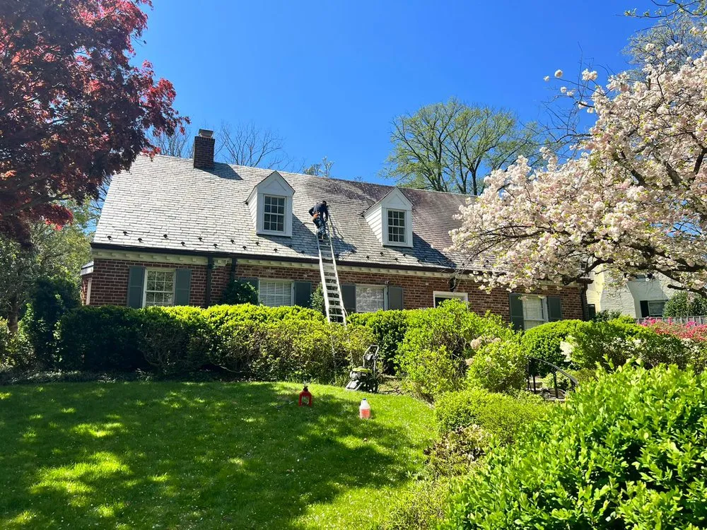 Slide of Tiger's Solution