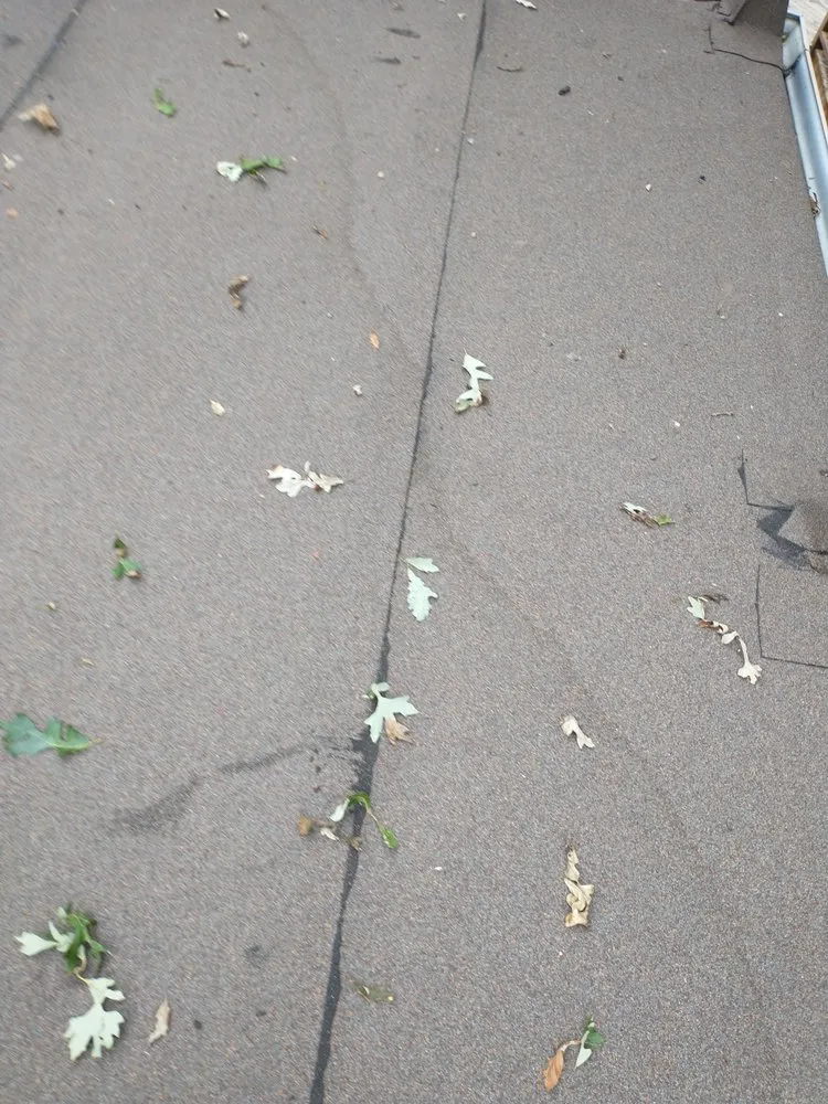 Slide of Tilden Roofing