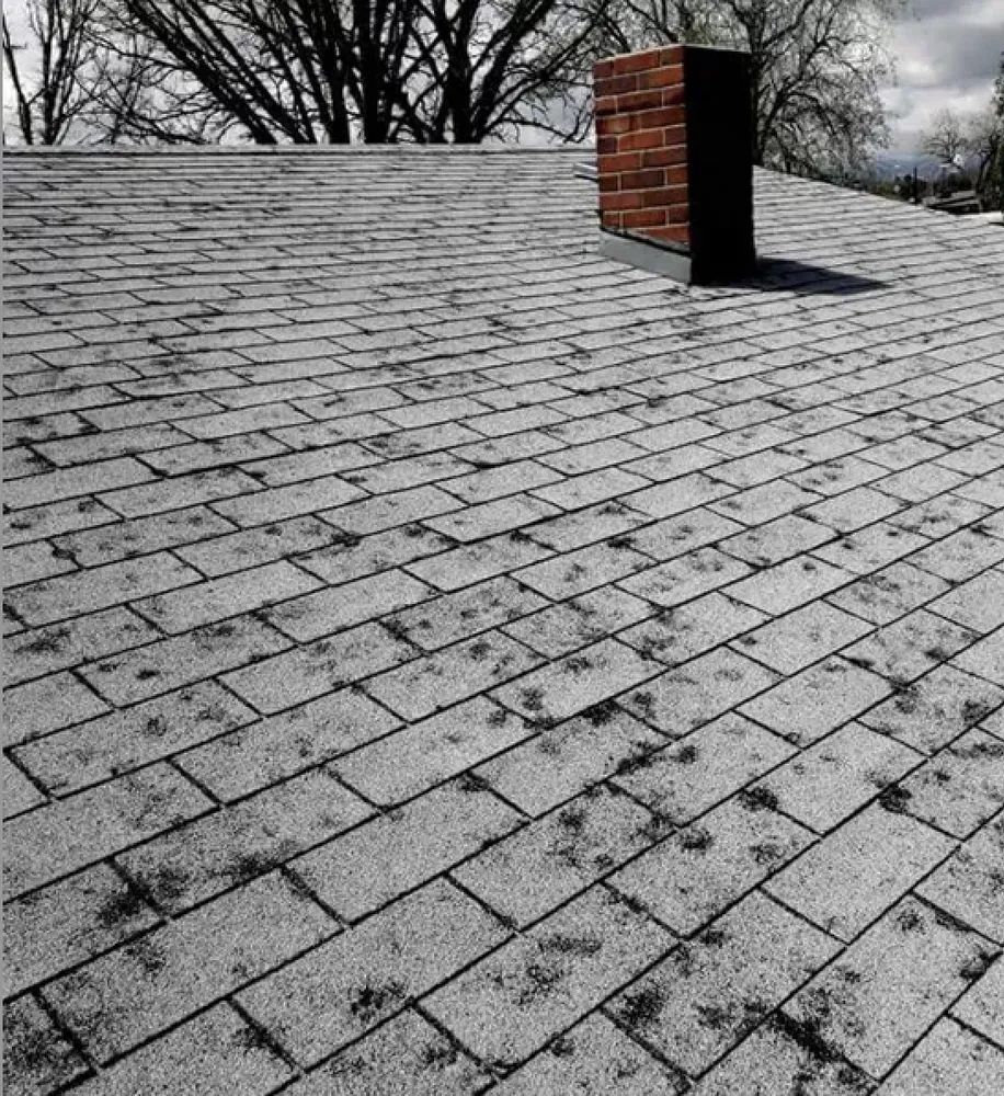 Licensed roof leak repair after storm damage in Parrish, FL by Tile Roofing and Restoration