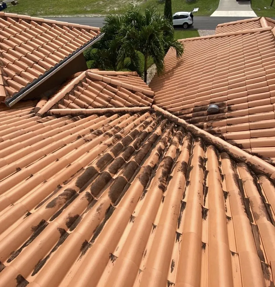 Licensed flat roof repair experts serving Parrish, FL - Tile Roofing and Restoration