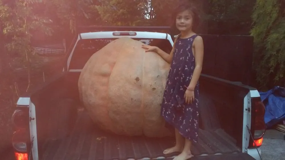 Slide of Tillys Roofing Repair