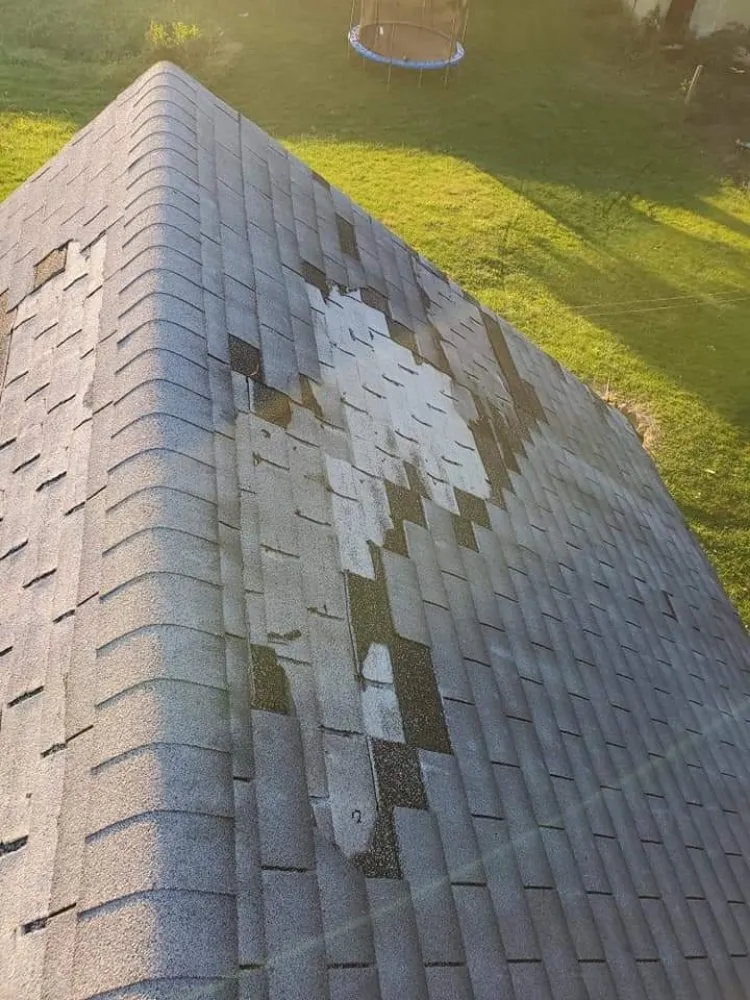 Slide of Timber Construction