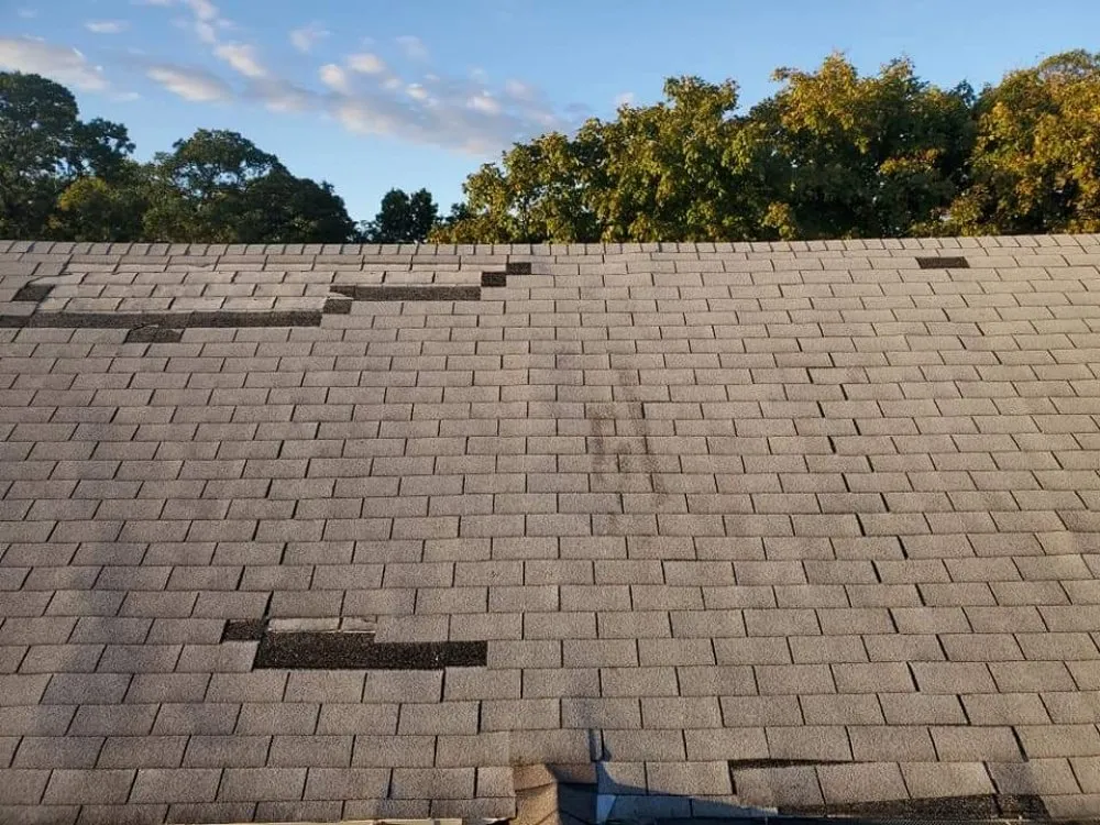 Slide of Timber Construction