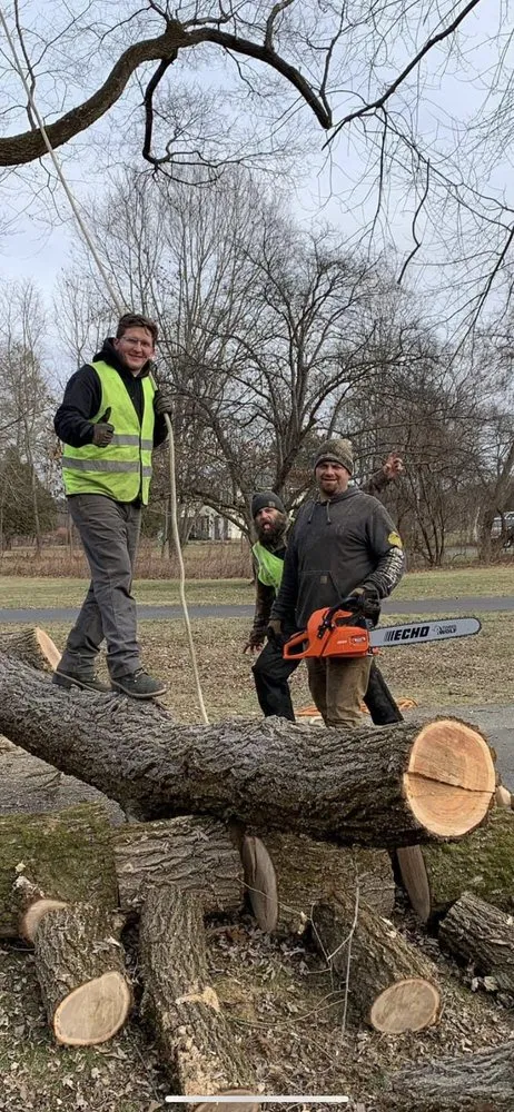 Slide of Timberwolf Tree and contracting