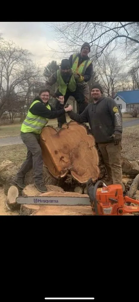 Slide of Timberwolf Tree and contracting