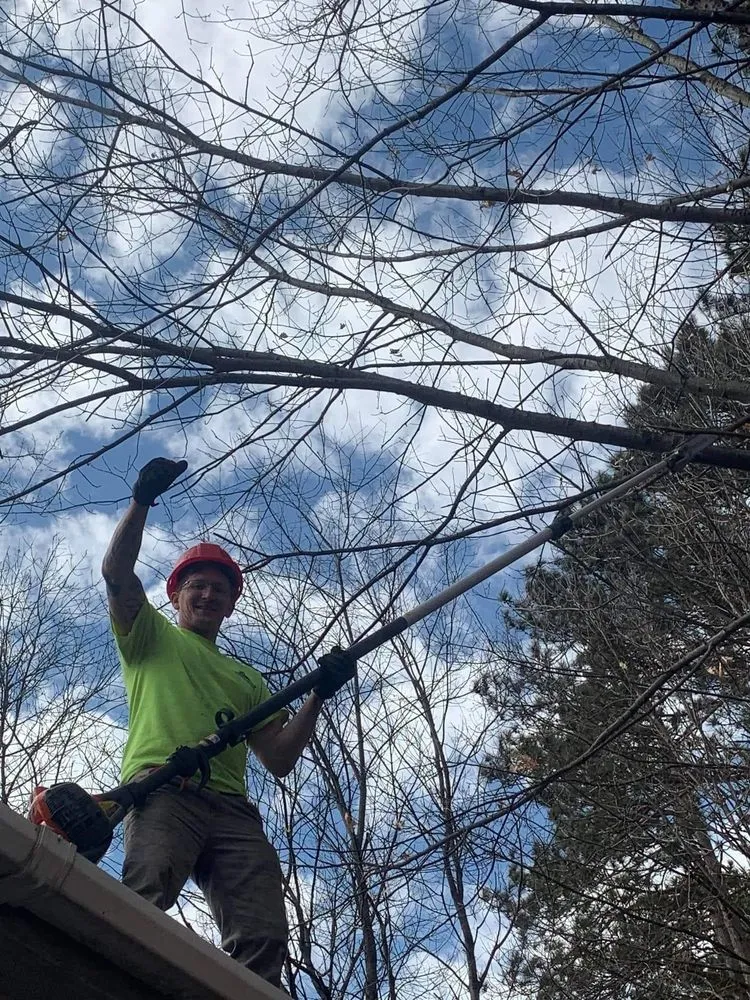 Slide of Timberwolf Tree and contracting