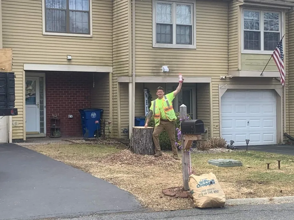 Slide of Timberwolf Tree and contracting