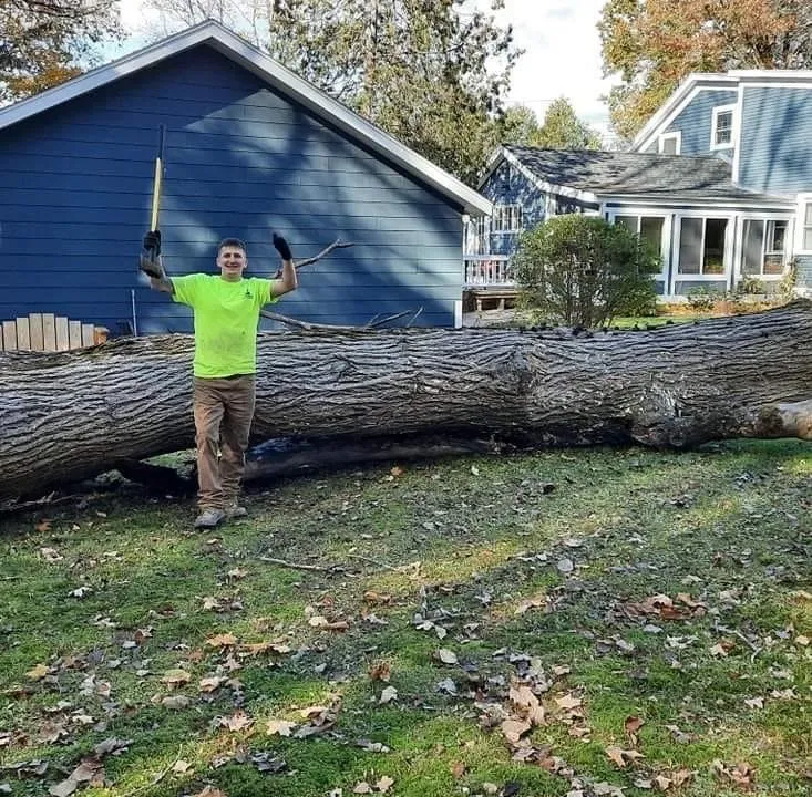Slide of Timberwolf Tree and contracting