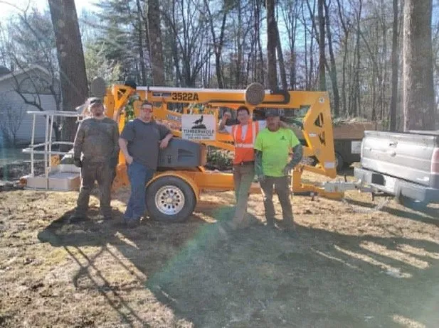 Slide of Timberwolf Tree and contracting