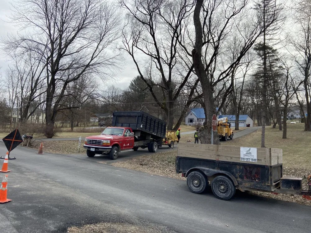 Slide of Timberwolf Tree and contracting