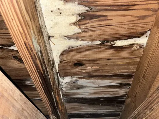 Timmons & Carroll Roofing