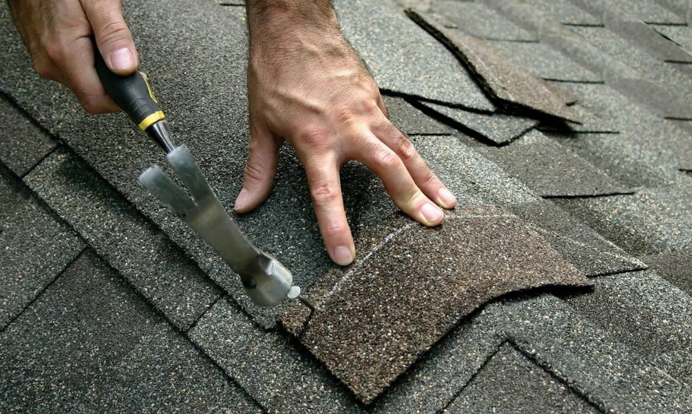 Slide of Timofey Nikulin