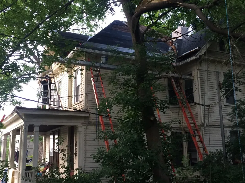 Slide of Timofey Nikulin