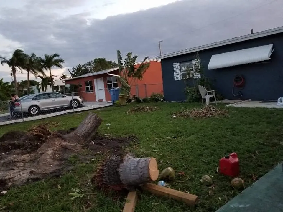 Slide of Timoteo's Handy Fix