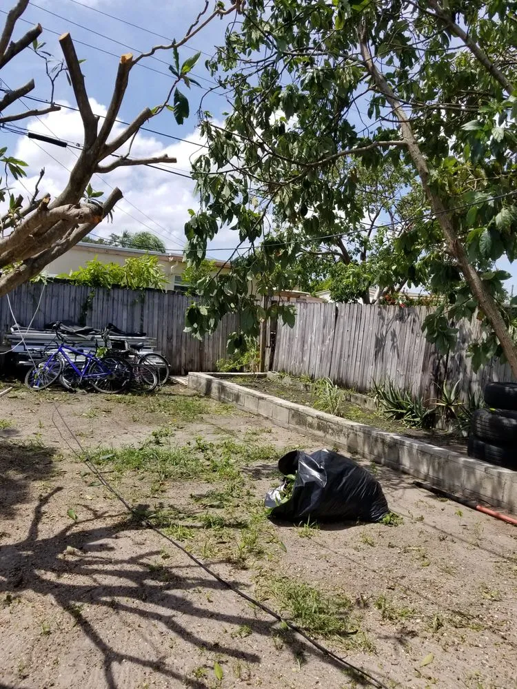 Slide of Timoteo's Handy Fix