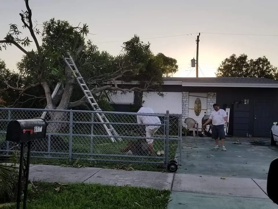 Slide of Timoteo's Handy Fix