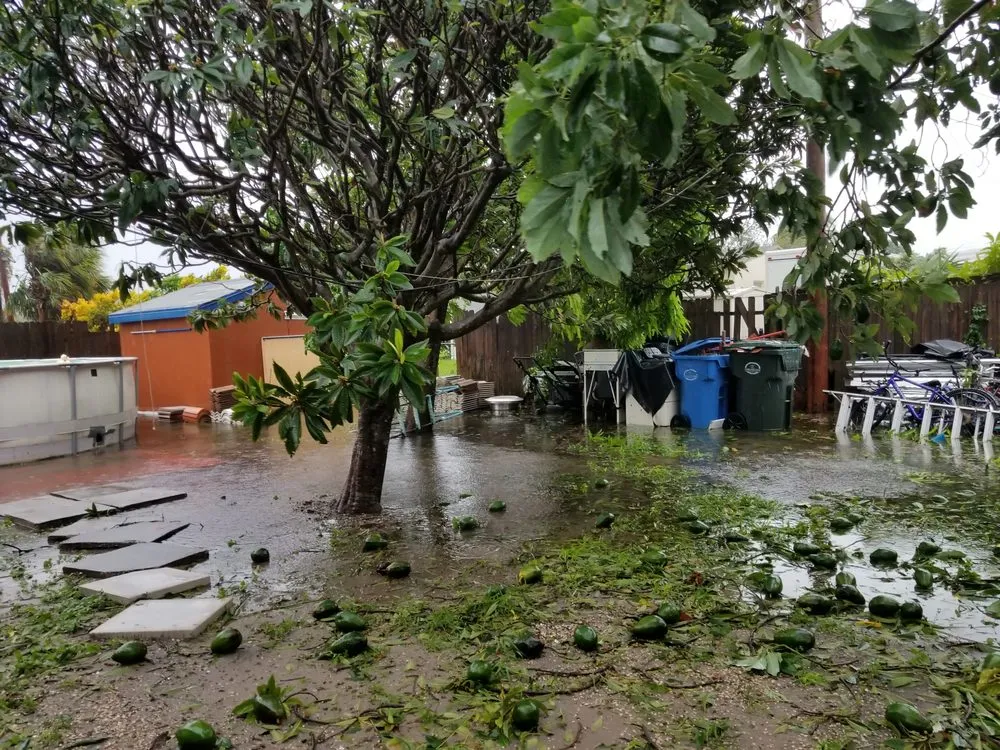 Slide of Timoteo's Handy Fix