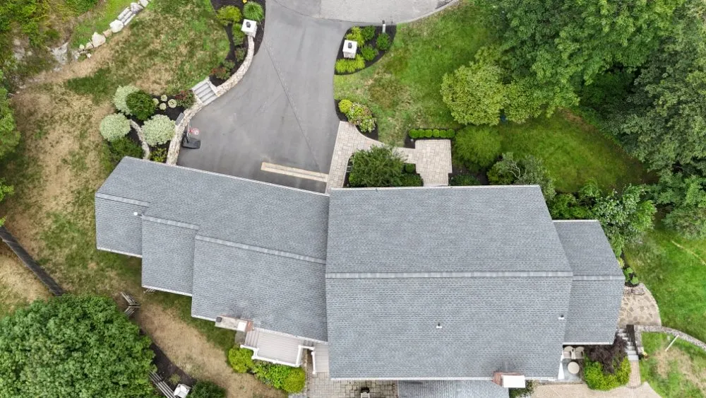 Slide of Timothy Jenkins