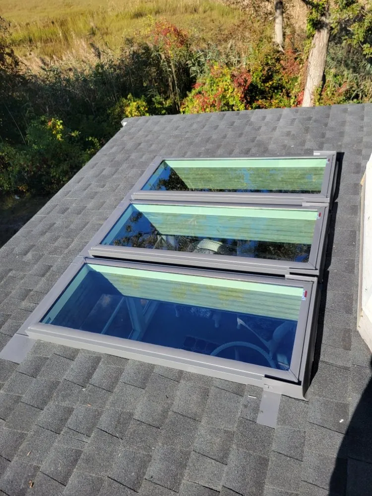 Slide of Timothy Jenkins