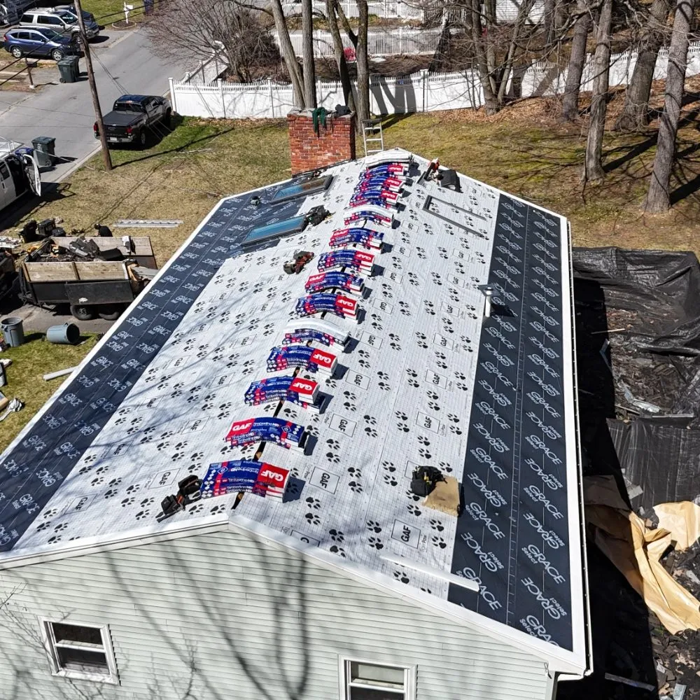 Slide of Timothy Jenkins