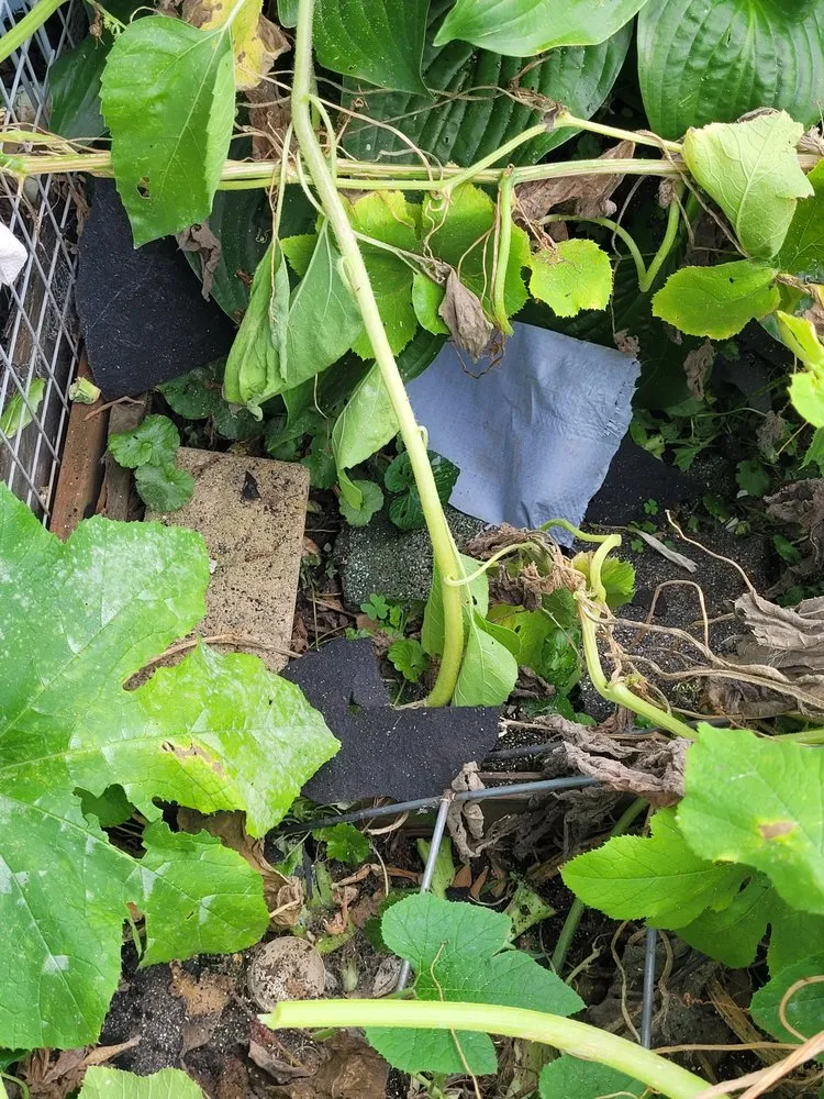 Slide of Tim’s Quality Roofing