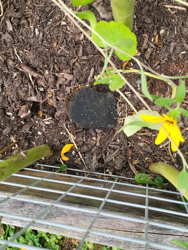 Slide of Tim’s Quality Roofing