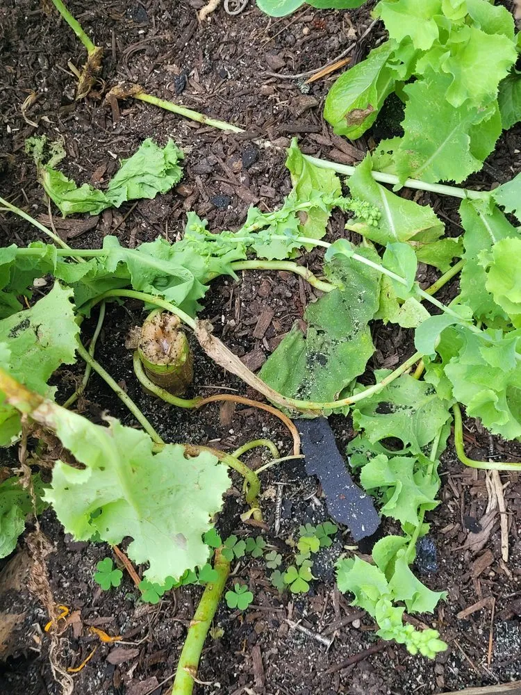 Slide of Tim’s Quality Roofing