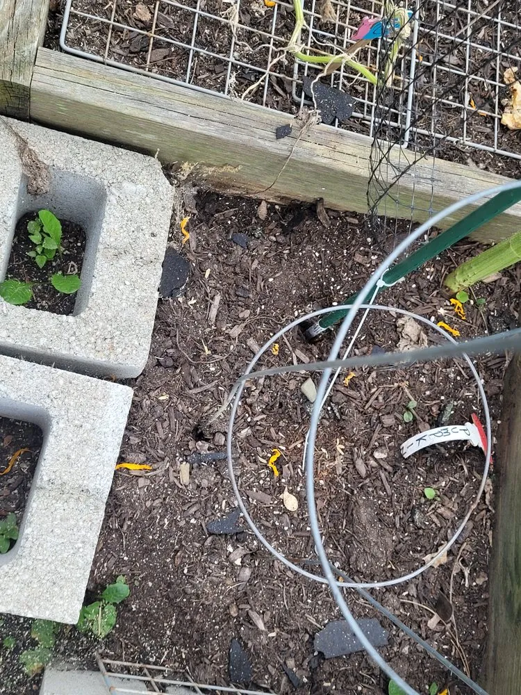 Slide of Tim’s Quality Roofing